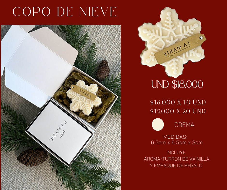 COPO NIEVE