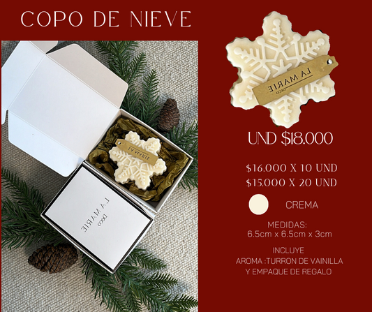 COPO NIEVE