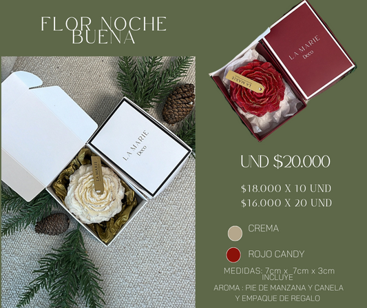 FLOR DE NOCHE BUENA