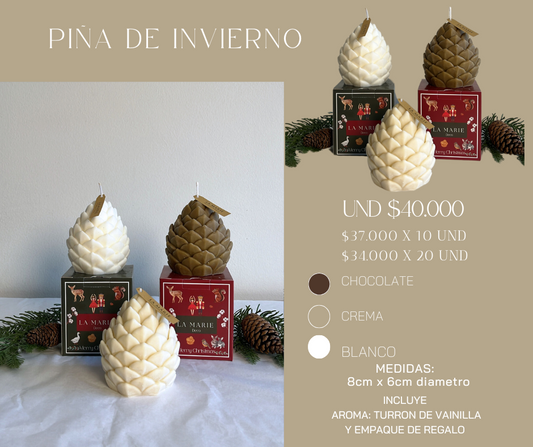 PIÑA DE INVIERNO