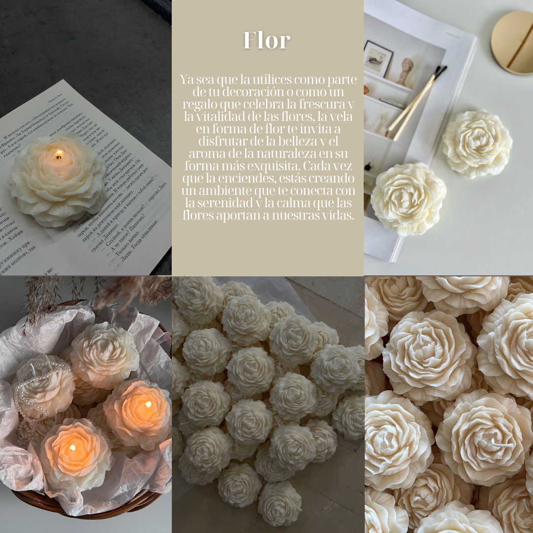FLOR