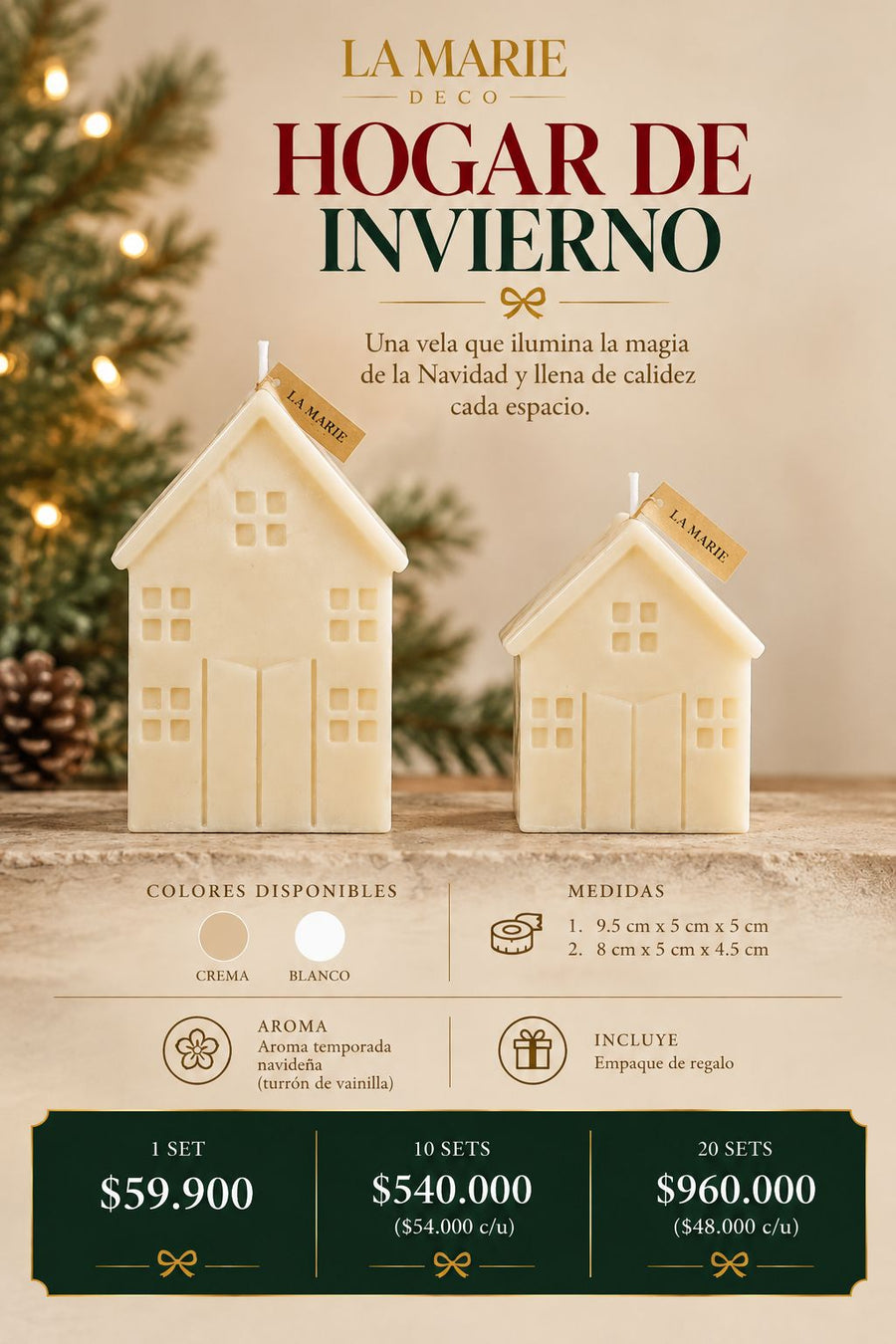 HOGAR DE INVIERNO