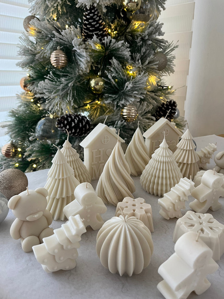 BOSQUE DE LA NAVIDAD
