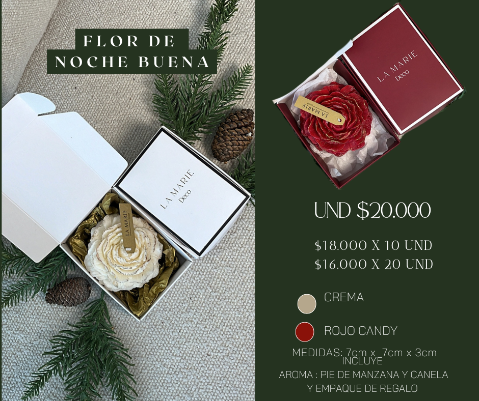 FLOR DE NOCHE BUENA