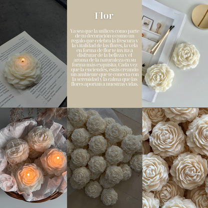 FLOR