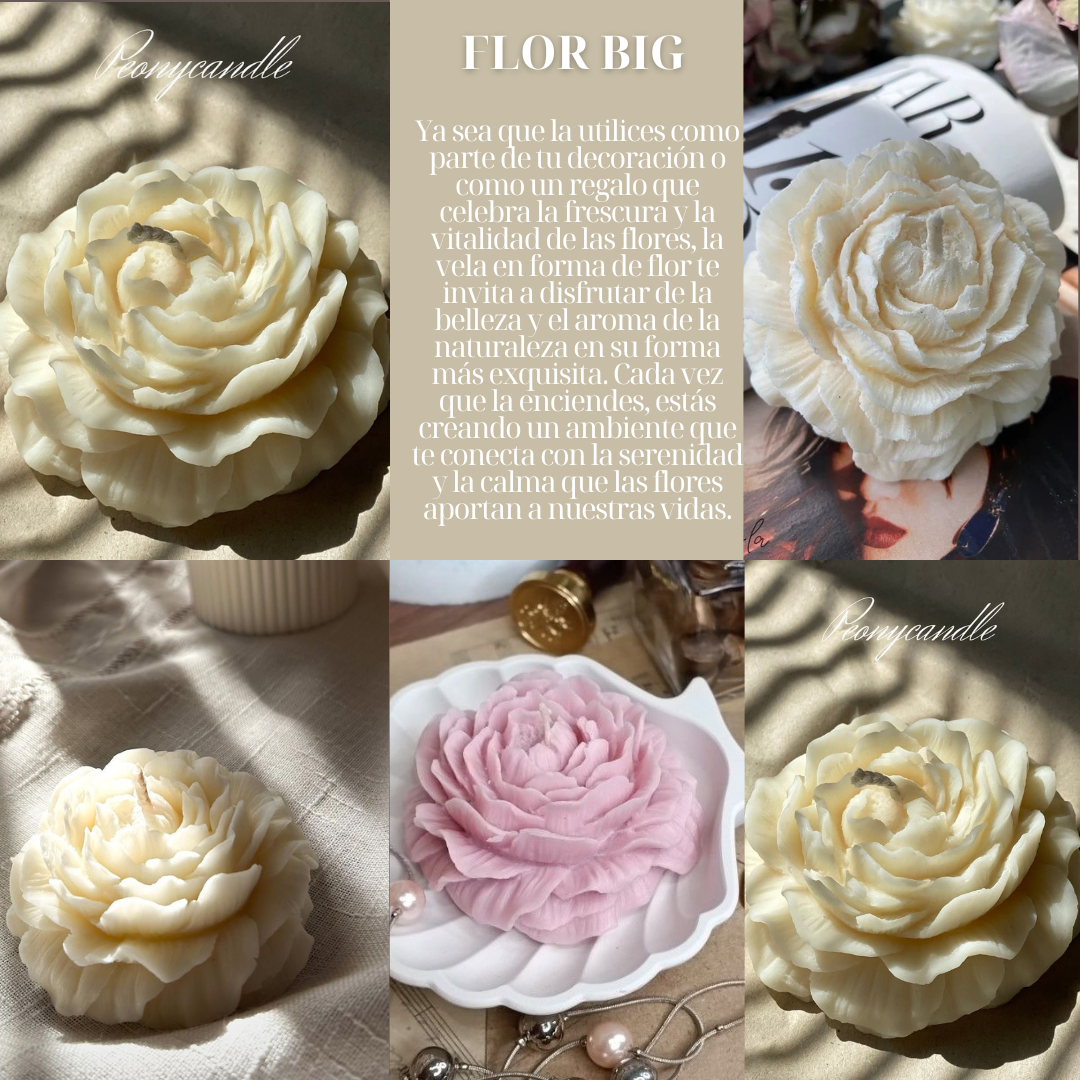 FLOR BIG