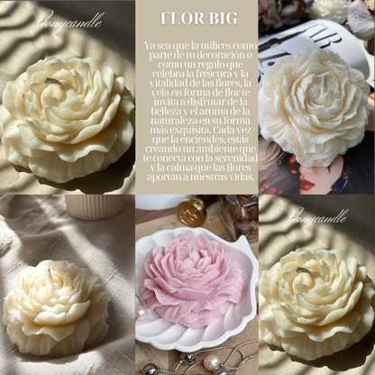 FLOR BIG