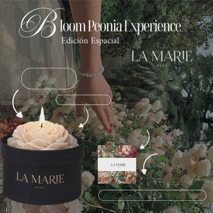 Bloom Peonia Experience